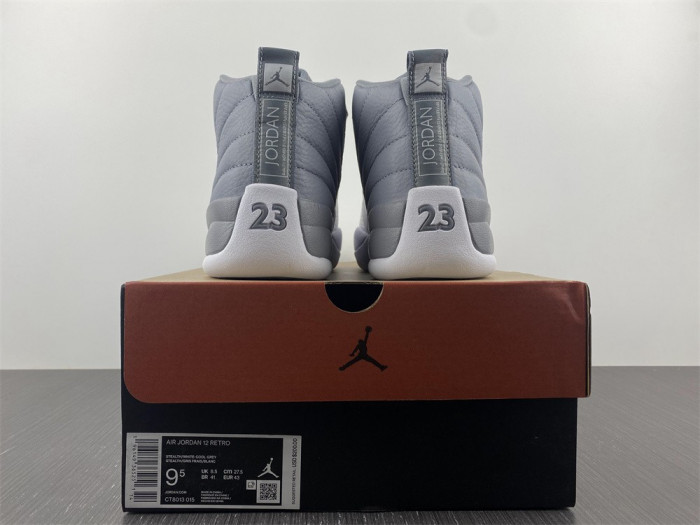 Air Jordan 12 Stealth CT8013-015