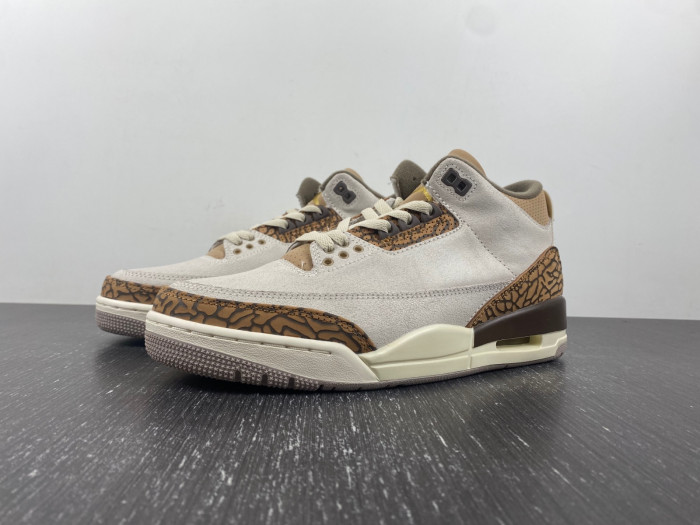 Air Jordan 3 “Palomino” CT8532-102