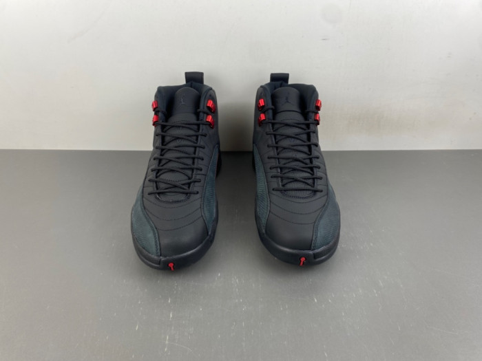 Air Jordan 12 “Bloodline”CT8013-003