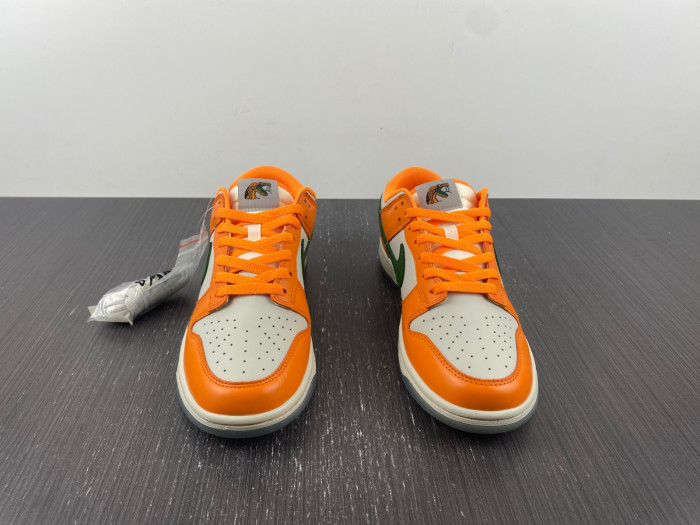 Nike Dunk Low Florida A&M University DR6188-800