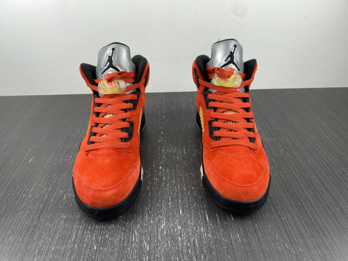 Air Jordan 5 Retro Dunk on Mars DD9336-800