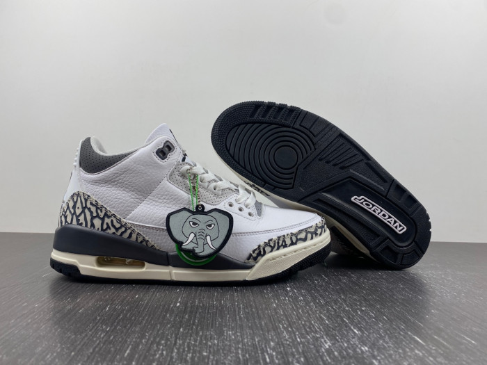 Air Jordan 3 Retro Hide N