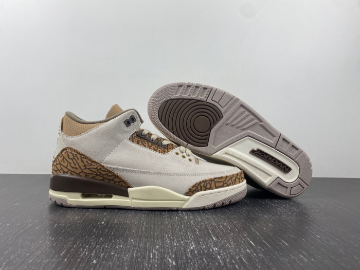 Air Jordan 3 “Palomino” CT8532-102
