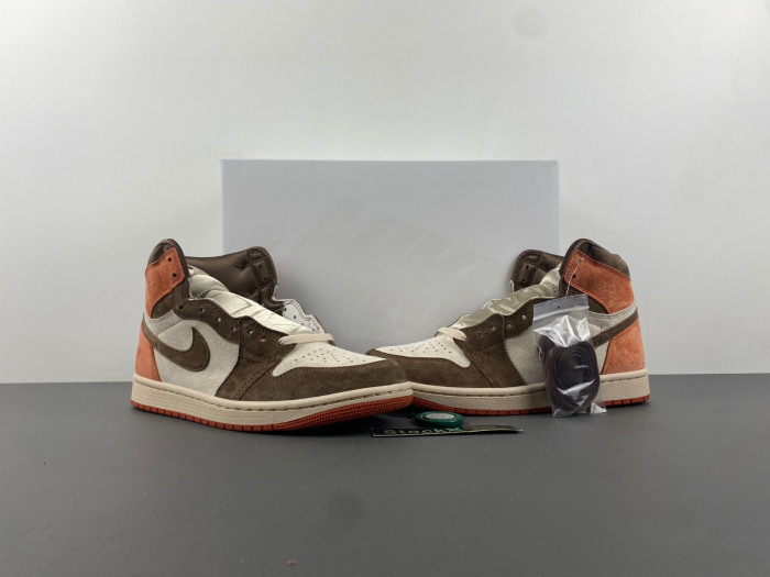 Air Jordan 1 Retro High OG SP Dusted Clay (Women