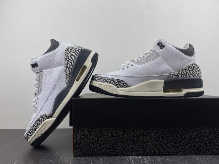 Air Jordan 3 Retro Hide N