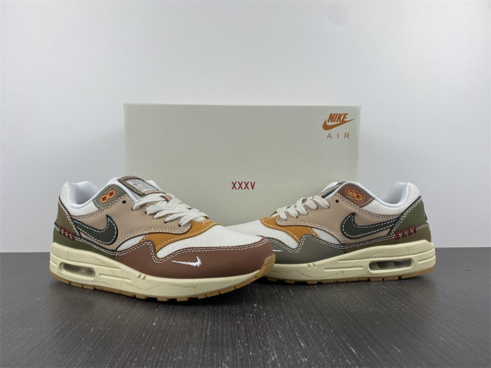 Nike Air Max 1 Premium Wabi-Sabi (W) DQ8656-133