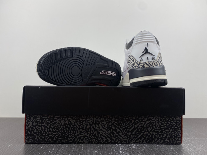 Air Jordan 3 Retro Hide N