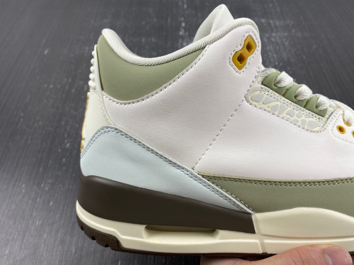 Air Jordan 3 DX6660-800