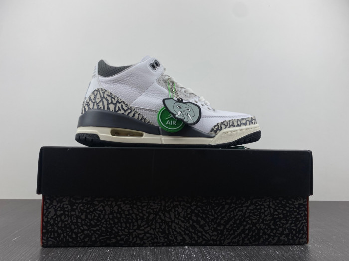 Air Jordan 3 Retro Hide N