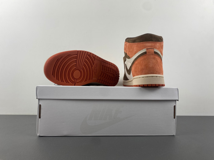Air Jordan 1 Retro High OG SP Dusted Clay (Women