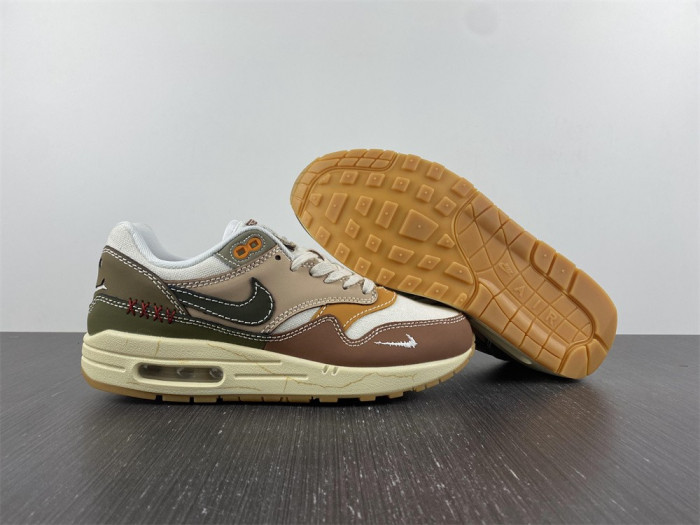 Nike Air Max 1 Premium Wabi-Sabi (W) DQ8656-133