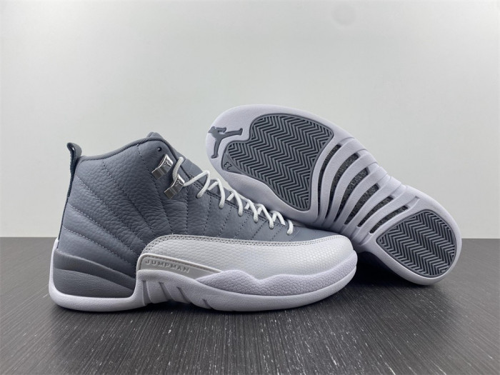 Air Jordan 12 Stealth CT8013-015