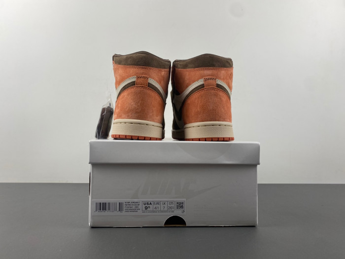 Air Jordan 1 Retro High OG SP Dusted Clay (Women