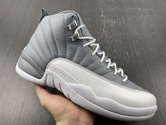 Air Jordan 12 Stealth CT8013-015
