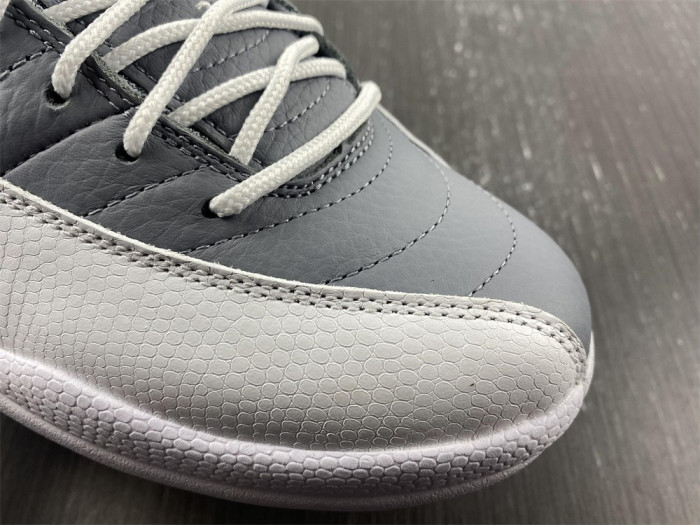 Air Jordan 12 Stealth CT8013-015