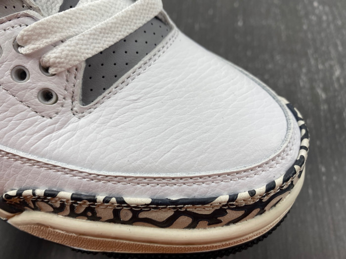 Air Jordan 3 Retro Hide N