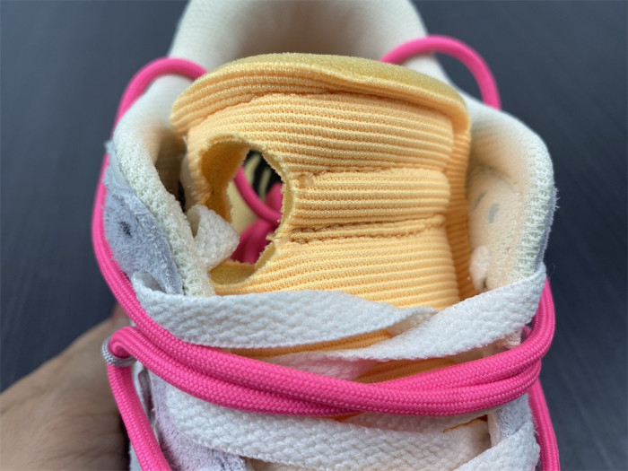 Nike Dunk Low OFW Lot 17 DJ0950-117