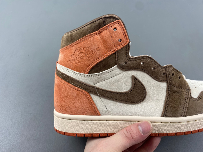 Air Jordan 1 Retro High OG SP Dusted Clay (Women