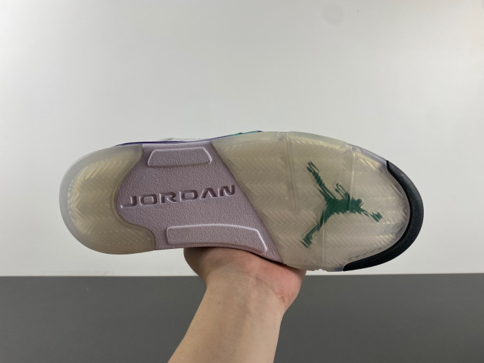 Air Jordan 5 Retro Grape (2013) 136027-108