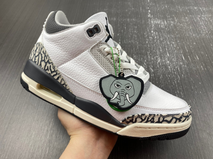 Air Jordan 3 Retro Hide N