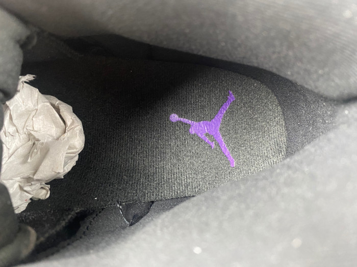 Air Jordan 12 Retro Field Purple CT8013-057