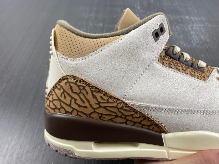 Air Jordan 3 “Palomino” CT8532-102