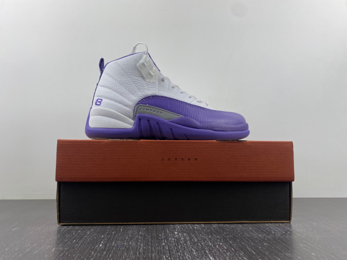 Air Jordan 12 purple CT8013-150
