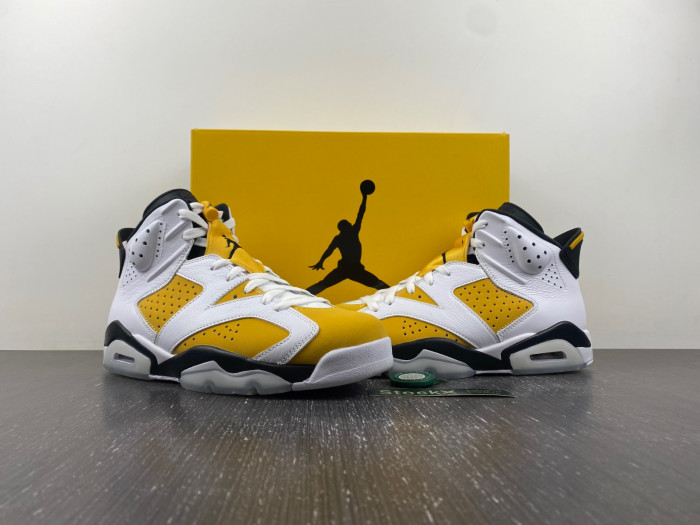 Air Jordan 6 Retro Yellow Ochre CT8529-170