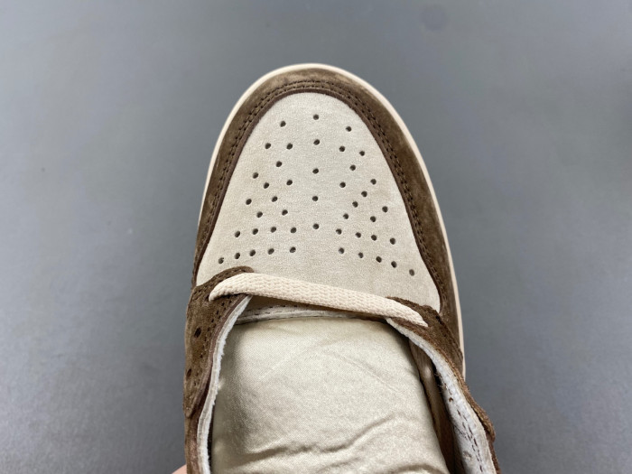 Air Jordan 1 Retro High OG SP Dusted Clay (Women