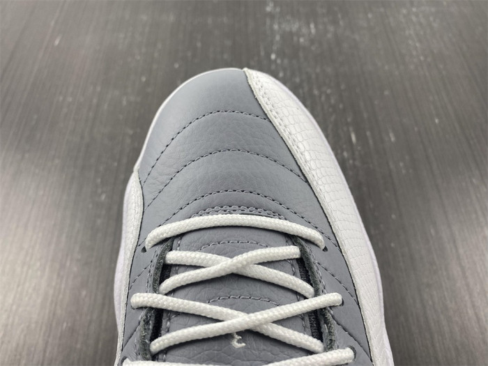 Air Jordan 12 Stealth CT8013-015