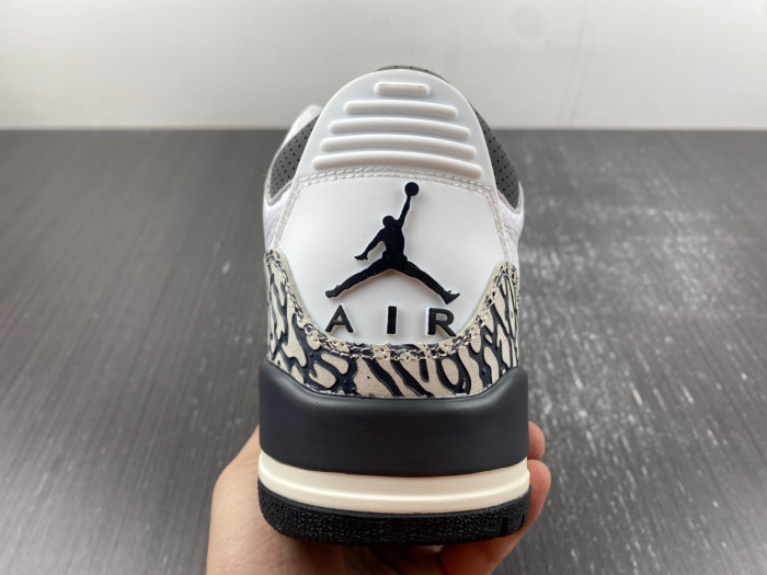 Air Jordan 3 Retro Hide N