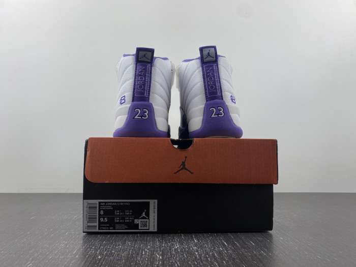 Air Jordan 12 purple CT8013-150