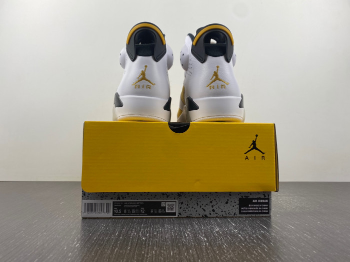 Air Jordan 6 Retro Yellow Ochre CT8529-170