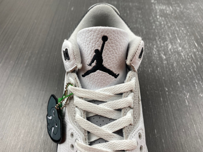 Air Jordan 3 Retro Hide N