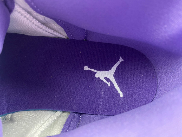 Air Jordan 12 purple CT8013-150