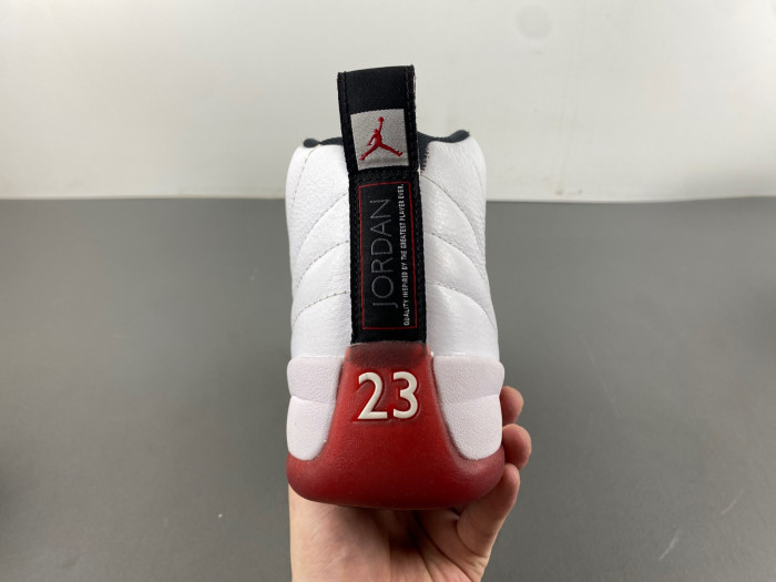 Air Jordan 12 Cherry 2023 CT8013-116