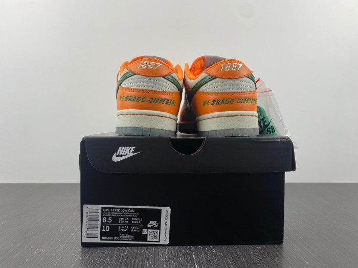 Nike Dunk Low Florida A&M University DR6188-800