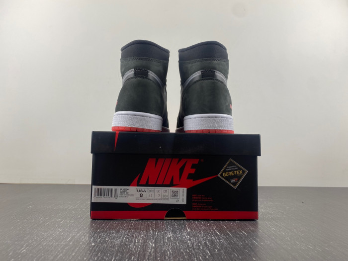 Air Jordan 1 Retro High Element Gore-Tex Black Infrared DB2889-002