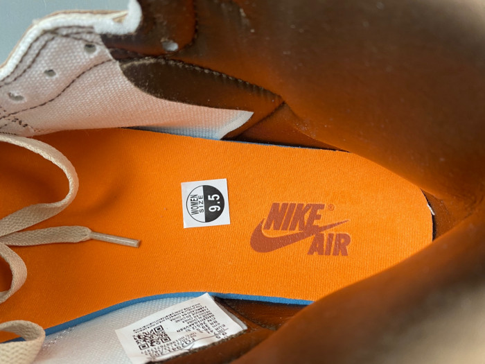 Air Jordan 1 Retro High OG SP Dusted Clay (Women