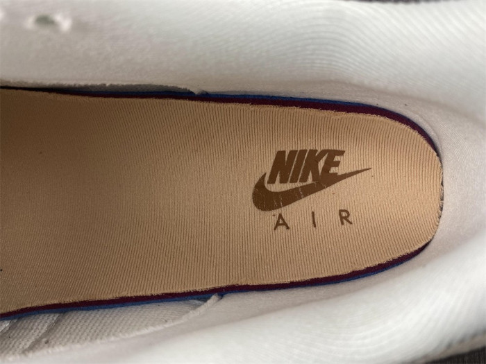Nike Air Max 1 Premium Wabi-Sabi (W) DQ8656-133
