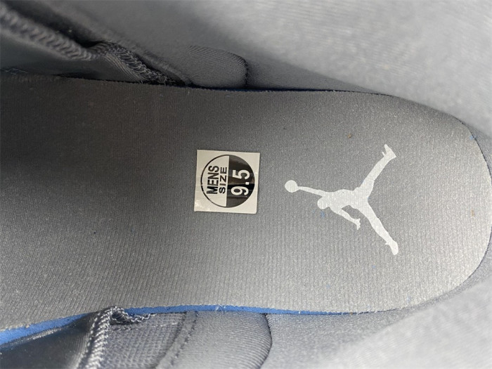Air Jordan 12 Stealth CT8013-015
