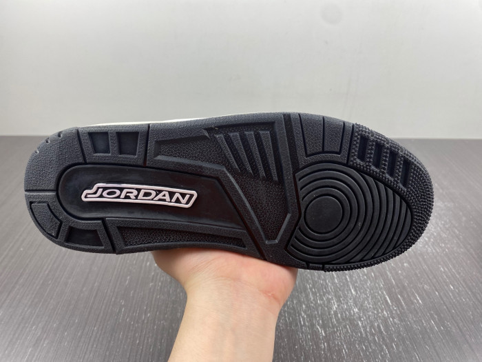 Air Jordan 3 Retro Hide N