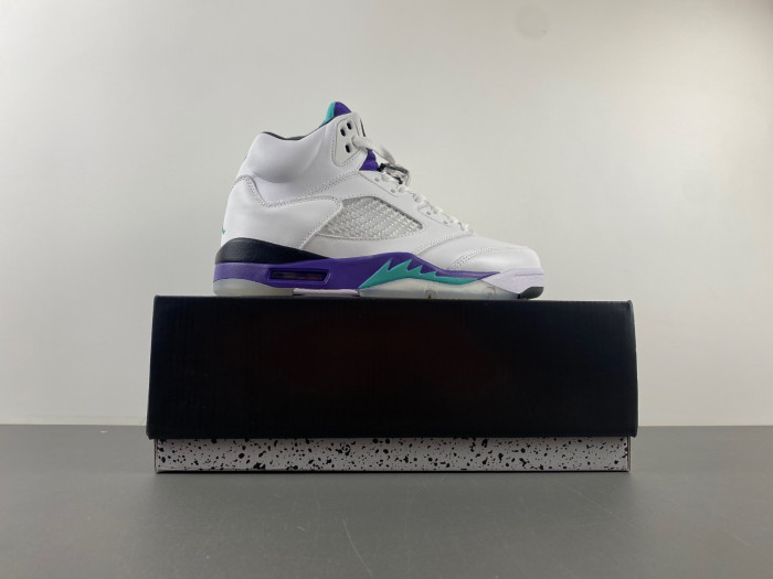 Air Jordan 5 Retro Grape (2013) 136027-108