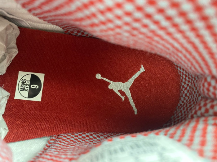 Air Jordan 10 Retro Red Steel 310805-161