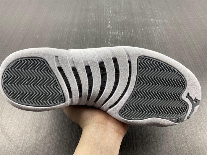 Air Jordan 12 Stealth CT8013-015