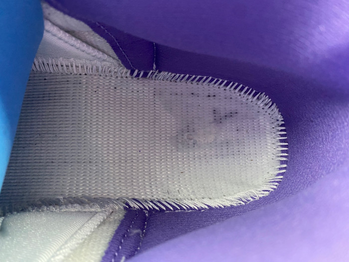 Air Jordan 12 purple CT8013-150