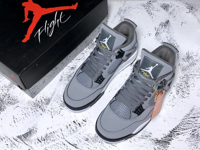 Air Jordan 4 Cool Grey 308497-007