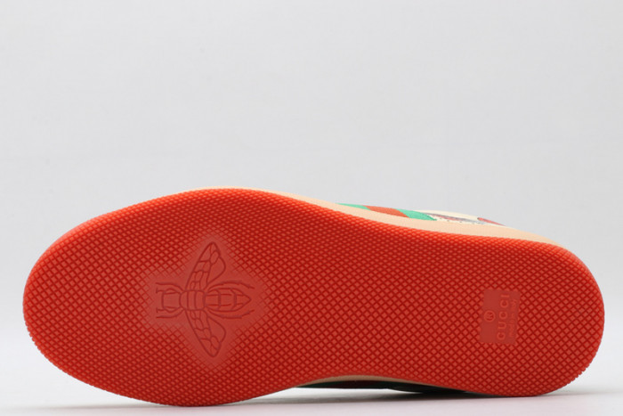 Gu66I SCREENER GG CANVAS