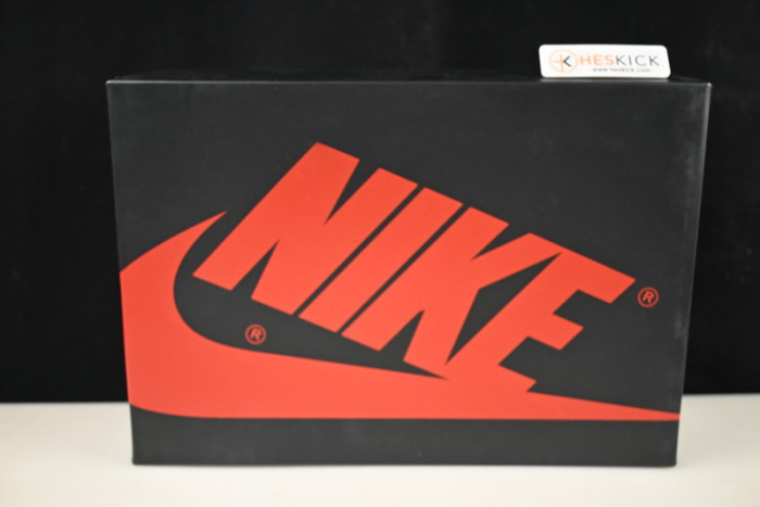 Air Jordan 1 High OG "Palomino" DZ5485-020