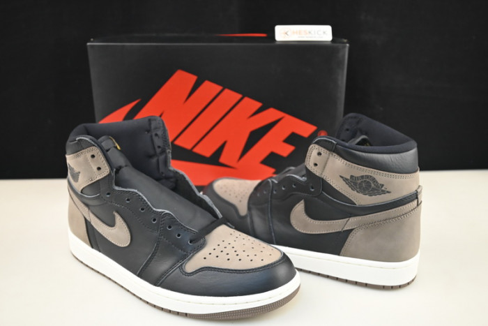Air Jordan 1 High OG "Palomino" DZ5485-020